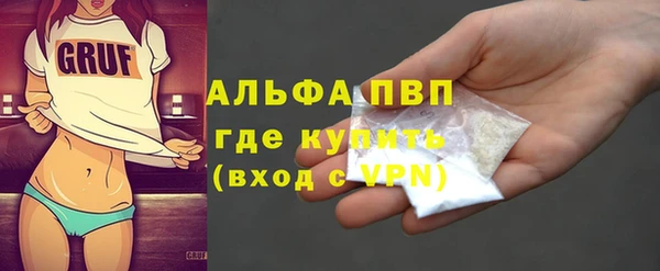 сатива Бронницы