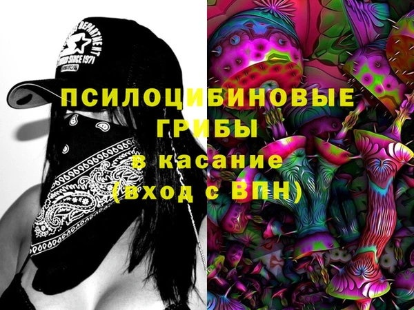 сатива Бронницы