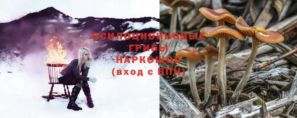 сатива Бронницы