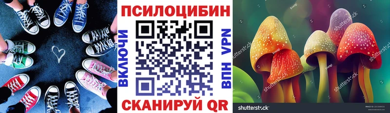 Галлюциногенные грибы Psilocybine cubensis  Купить где  Дубовка 